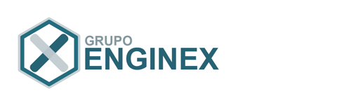 Grupo Enginex
